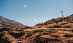 帕金森病💊的症状怎么查