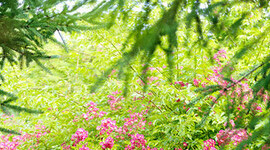 妈妈回应女儿晒成酱油色被海关🛃质疑国籍 晒伤经历引发热议(妈妈回复女儿的话)